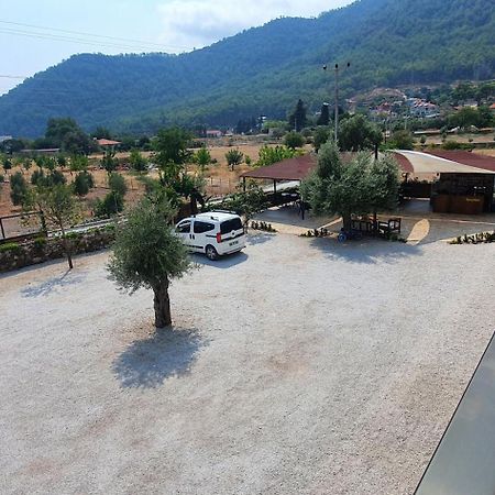 Olive Tree Apart Hotel ムーラ エクステリア 写真
