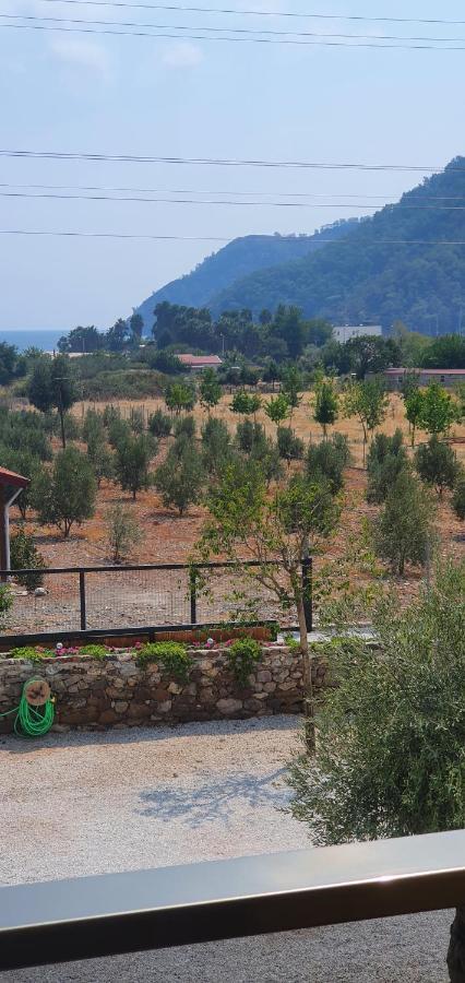 Olive Tree Apart Hotel ムーラ エクステリア 写真