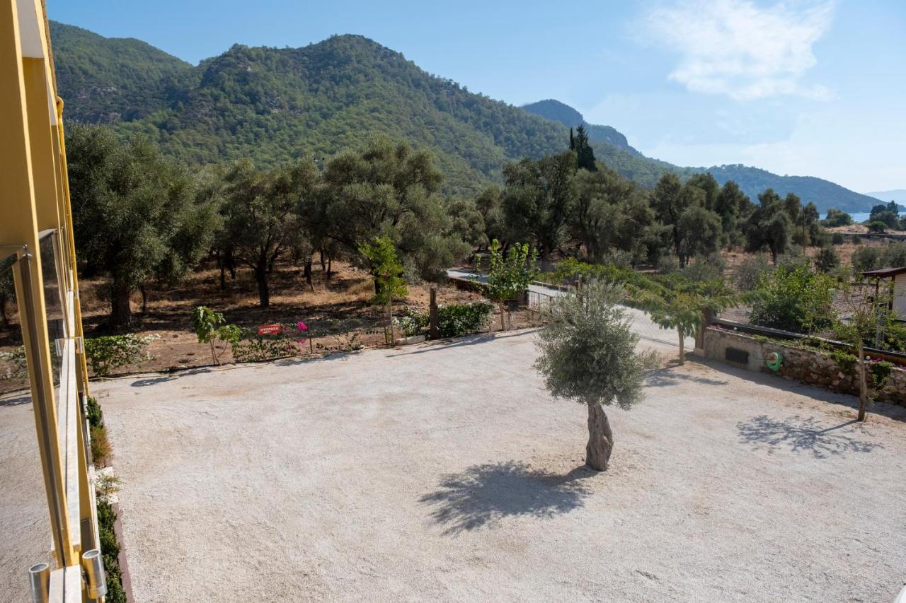 Olive Tree Apart Hotel ムーラ エクステリア 写真